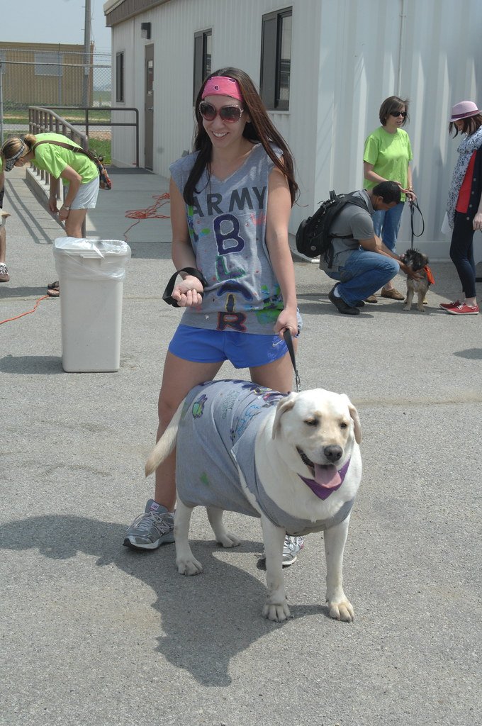 Cats & Dogs: The Human Pet Experience (image credits: flickr)