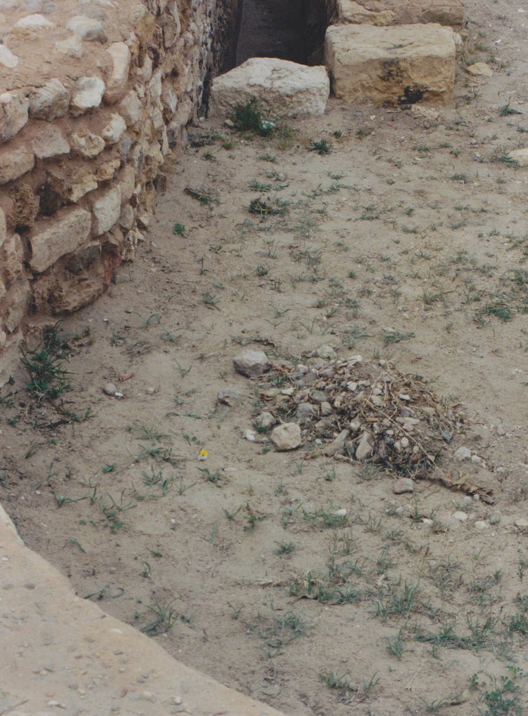 Indus Valley Plumbing: Ancient Urban Engineering (image credits: wikimedia)