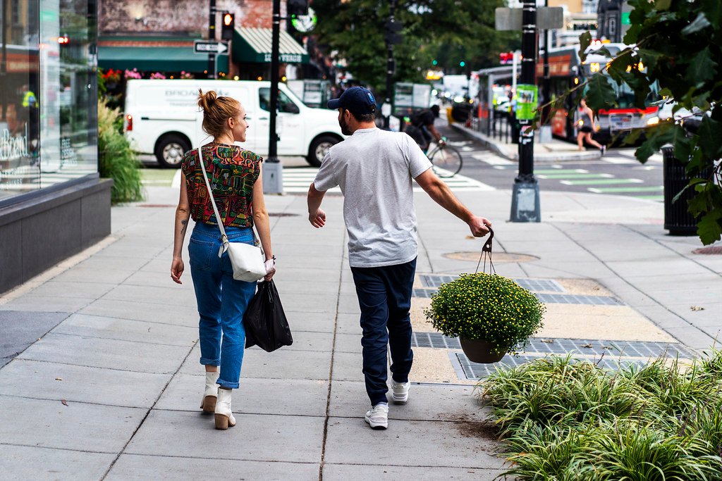 Take Your Houseplant for a Walk Day (image credits: flickr)