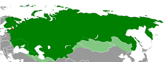 The Russian Empire - Three Centuries Undone in Days (image credits: wikimedia)