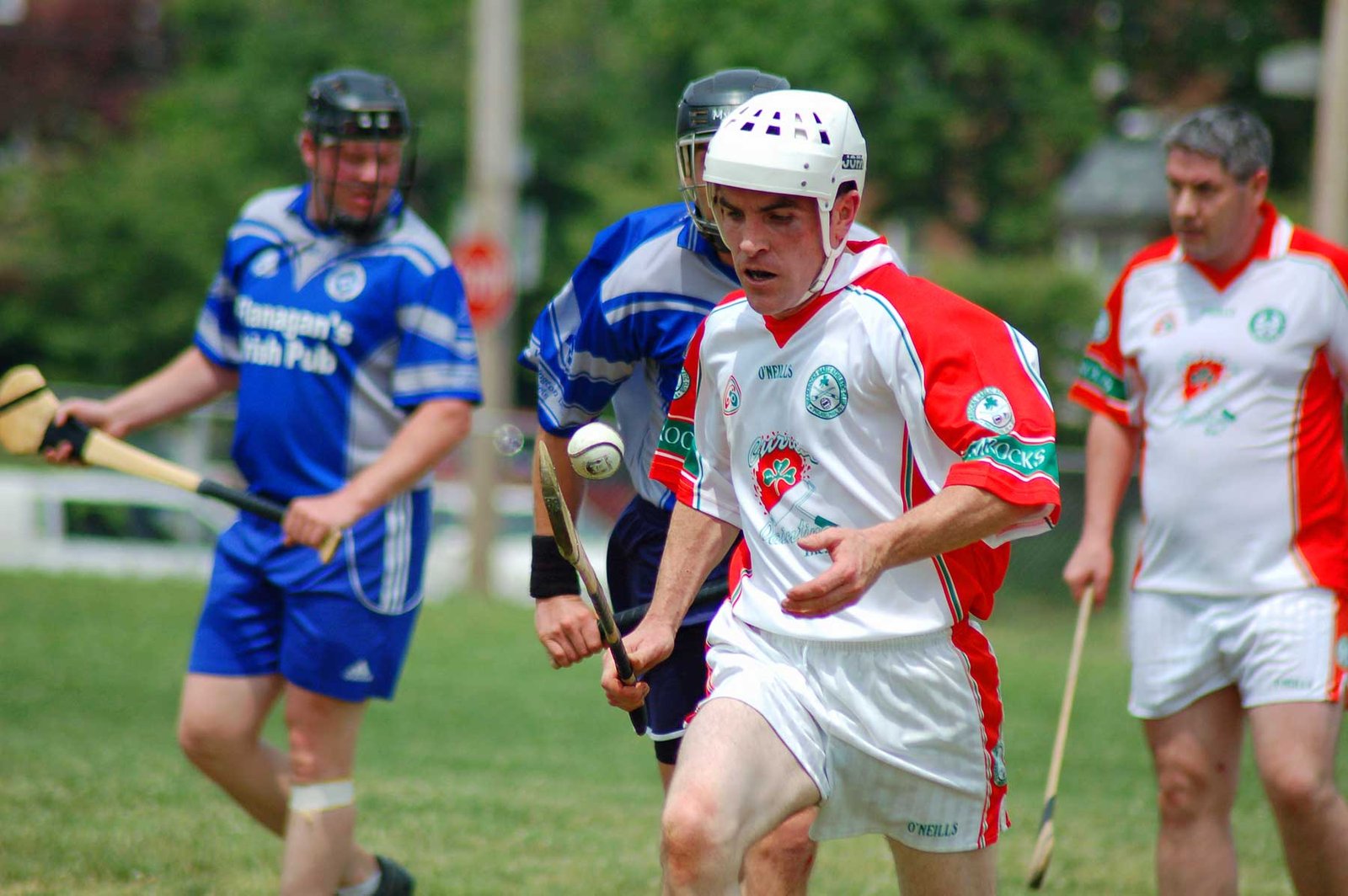 Hurling – Ireland's 3,000-Year-Old Speed Demon (image credits: wikimedia)