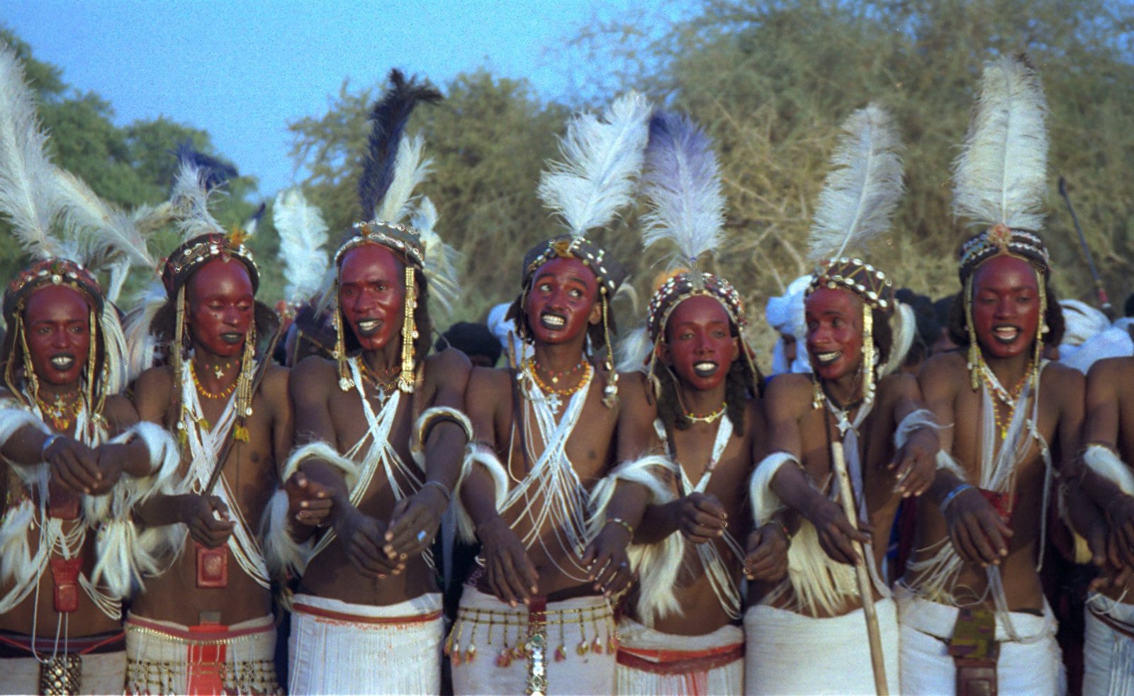 Gerewol Festival – Niger's Endurance Test (image credits: wikimedia)