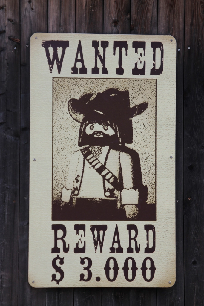 The Stakes of Capturing These Fugitives (image credits: rawpixel)