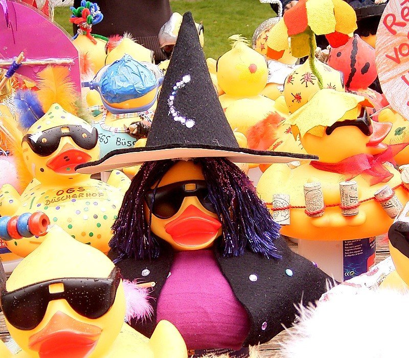 Rubber Duck Races (Worldwide) (image credits: wikimedia)