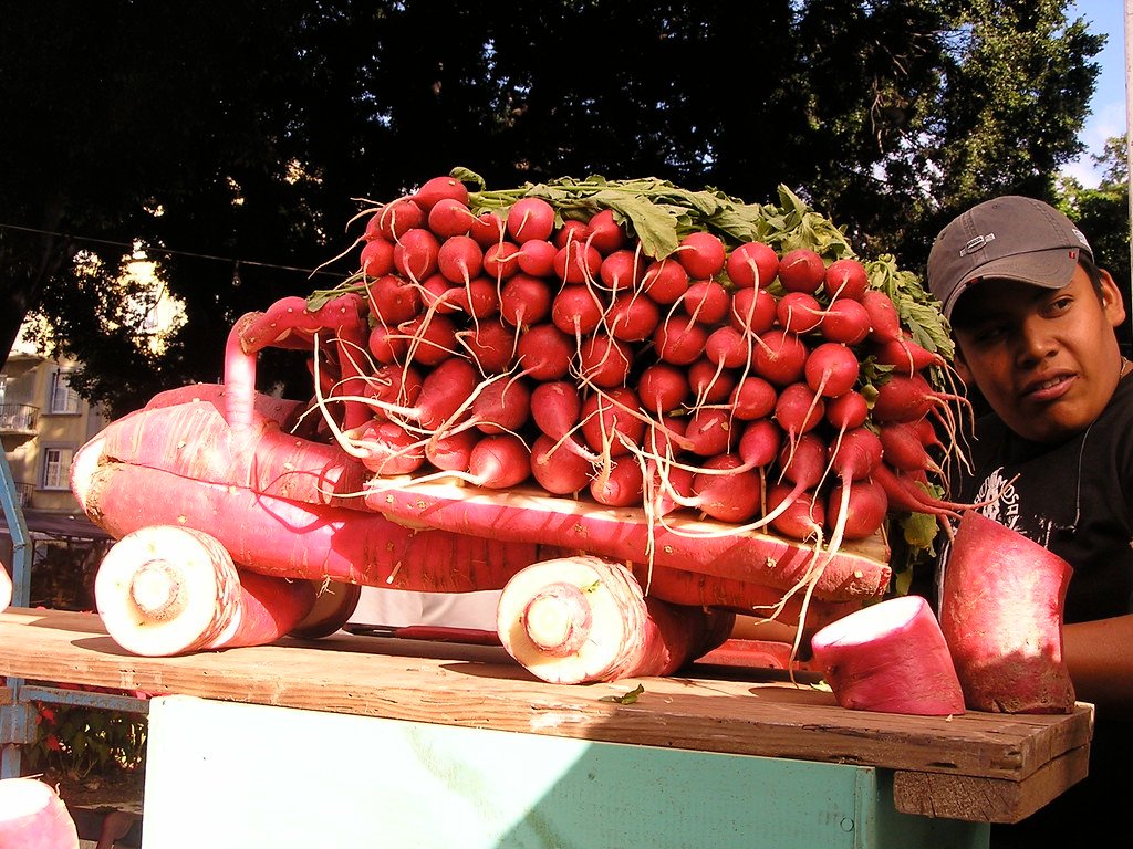 Night of the Radishes - Mexico's Vegetable Art Competition (image credits: flickr)