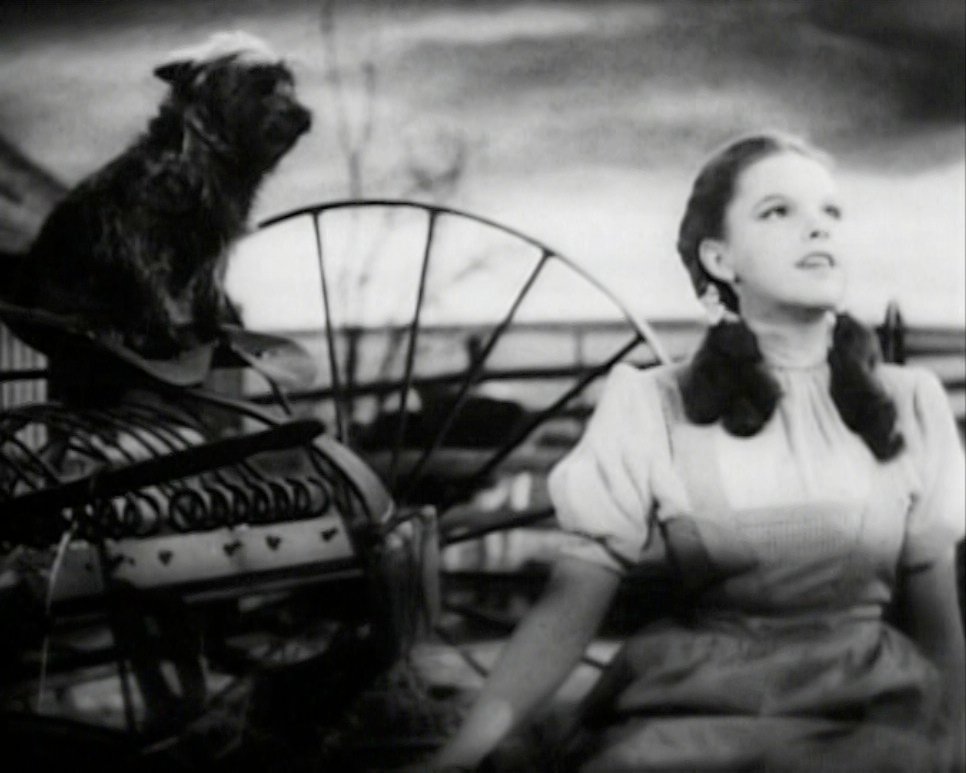 7. “Over the Rainbow” by Judy Garland (1939) (image credits: The Wizard of Oz 1940 Cairo trailer available on the 2005 Three-Disc Collector's Edition DVD release, Public domain, https://commons.wikimedia.org/w/index.php?curid=16514146)