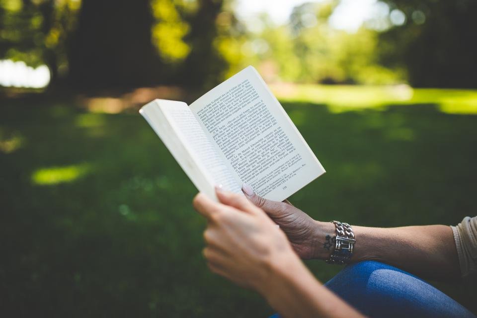 The Speed Writer: Fastest Time to Write a Novel (image credits: stocksnap)