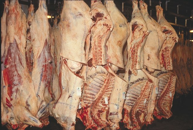 The Accidental Food Safety Revolution (image credits: wikimedia)