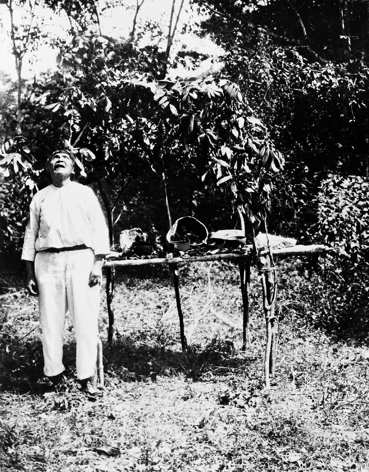 Ancient Agricultural Rituals: The Sacred Beginnings (image credits: CC BY 4.0, https://commons.wikimedia.org/w/index.php?curid=36322539)
