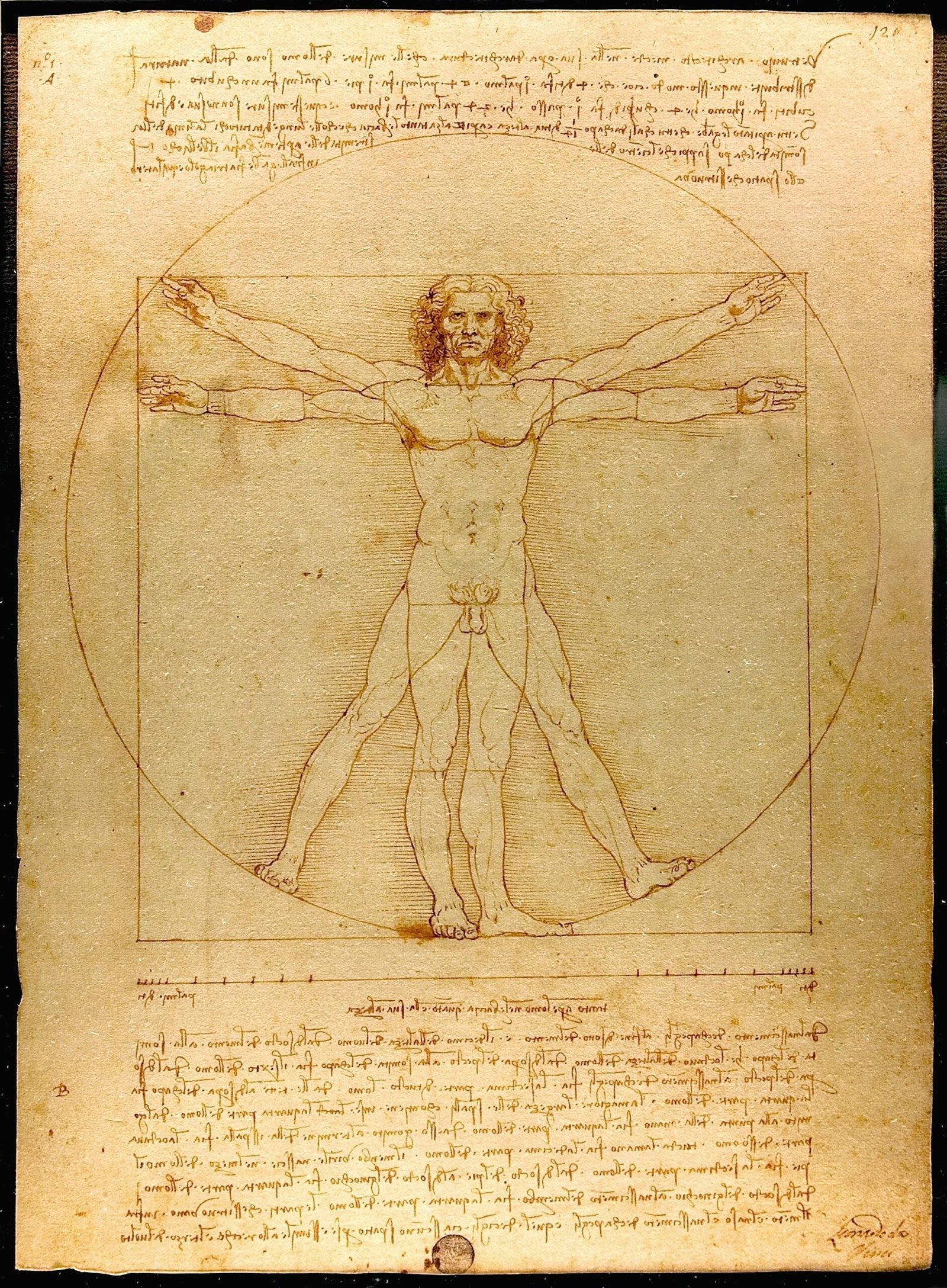Da Vinci's Mirror Writing: Genius Hidden in Reverse (image credits: wikimedia)