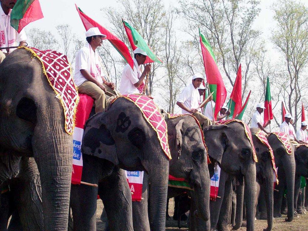 Thailand's Spectacular Elephant Celebration (image credits: wikimedia)