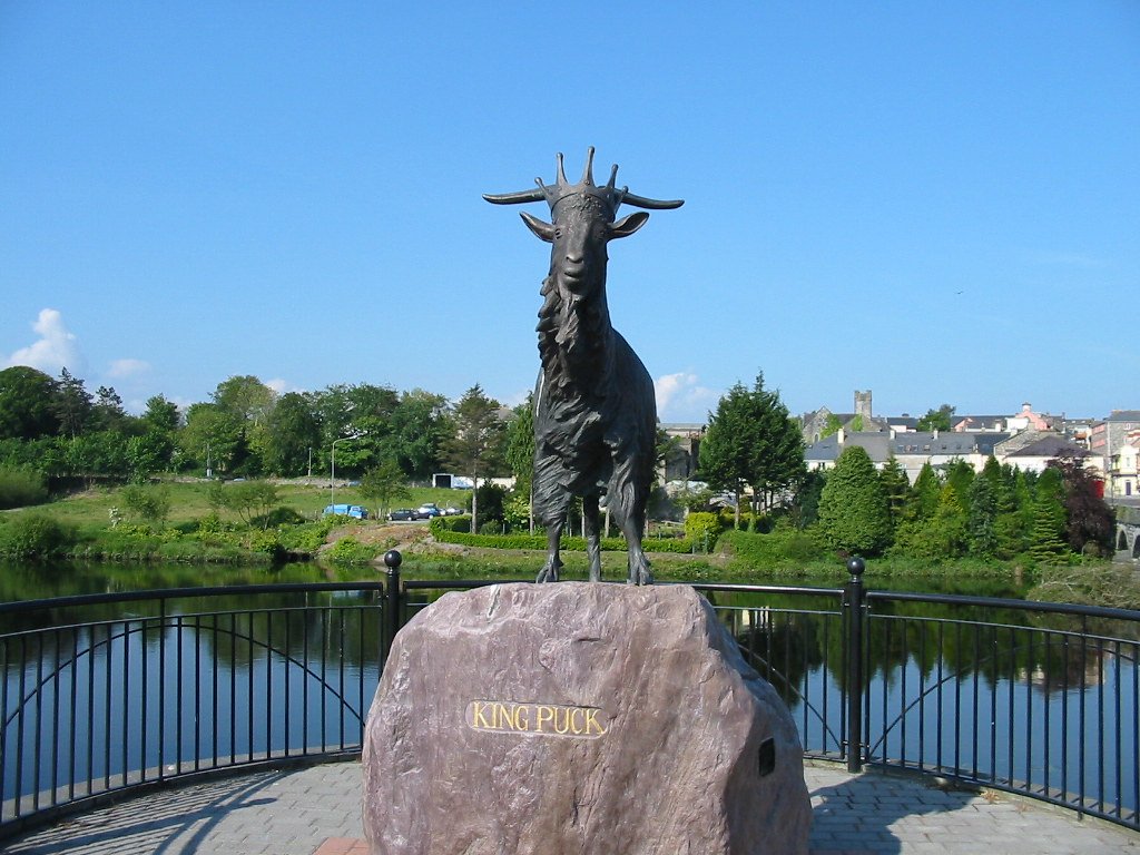 Ireland's Ancient Goat Coronation (image credits: flickr)