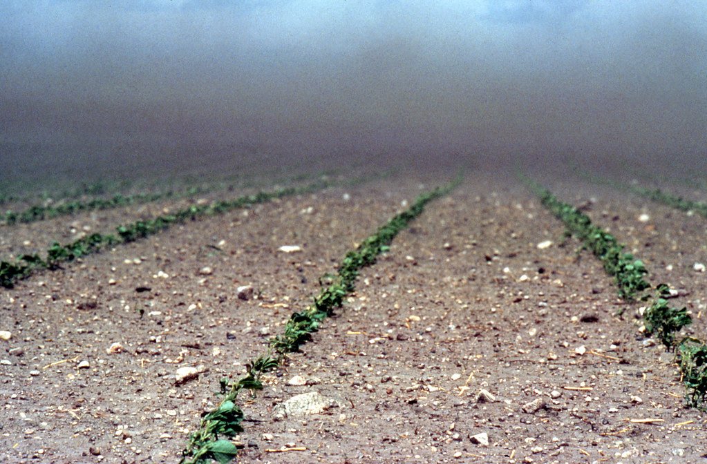 Environmental Warnings Ignored (image credits: flickr)