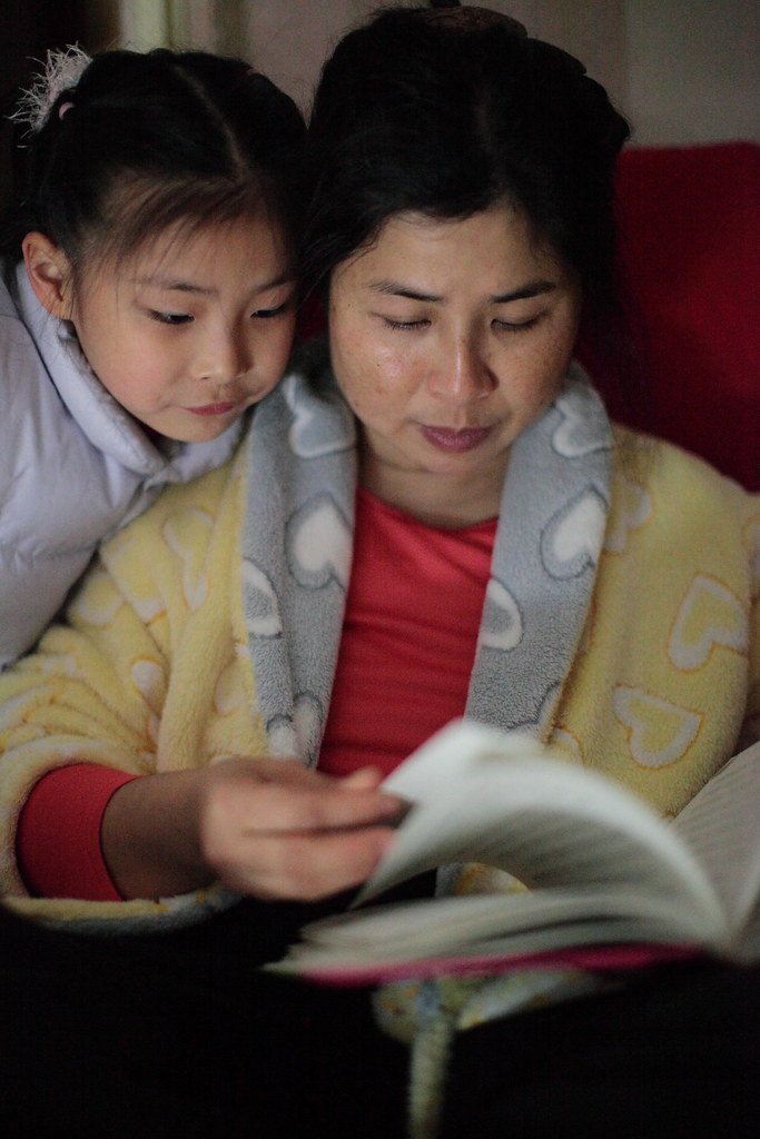 The Magic School Bus series by Joanna Cole (image credits: flickr)