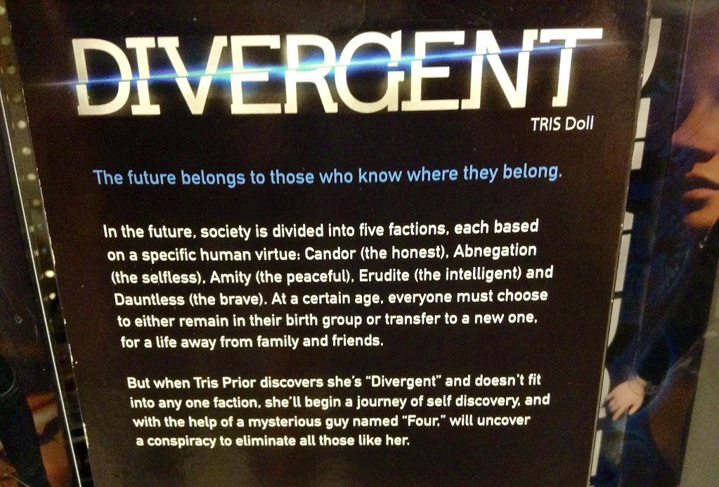 Divergent by Veronica Roth (image credits: flickr)