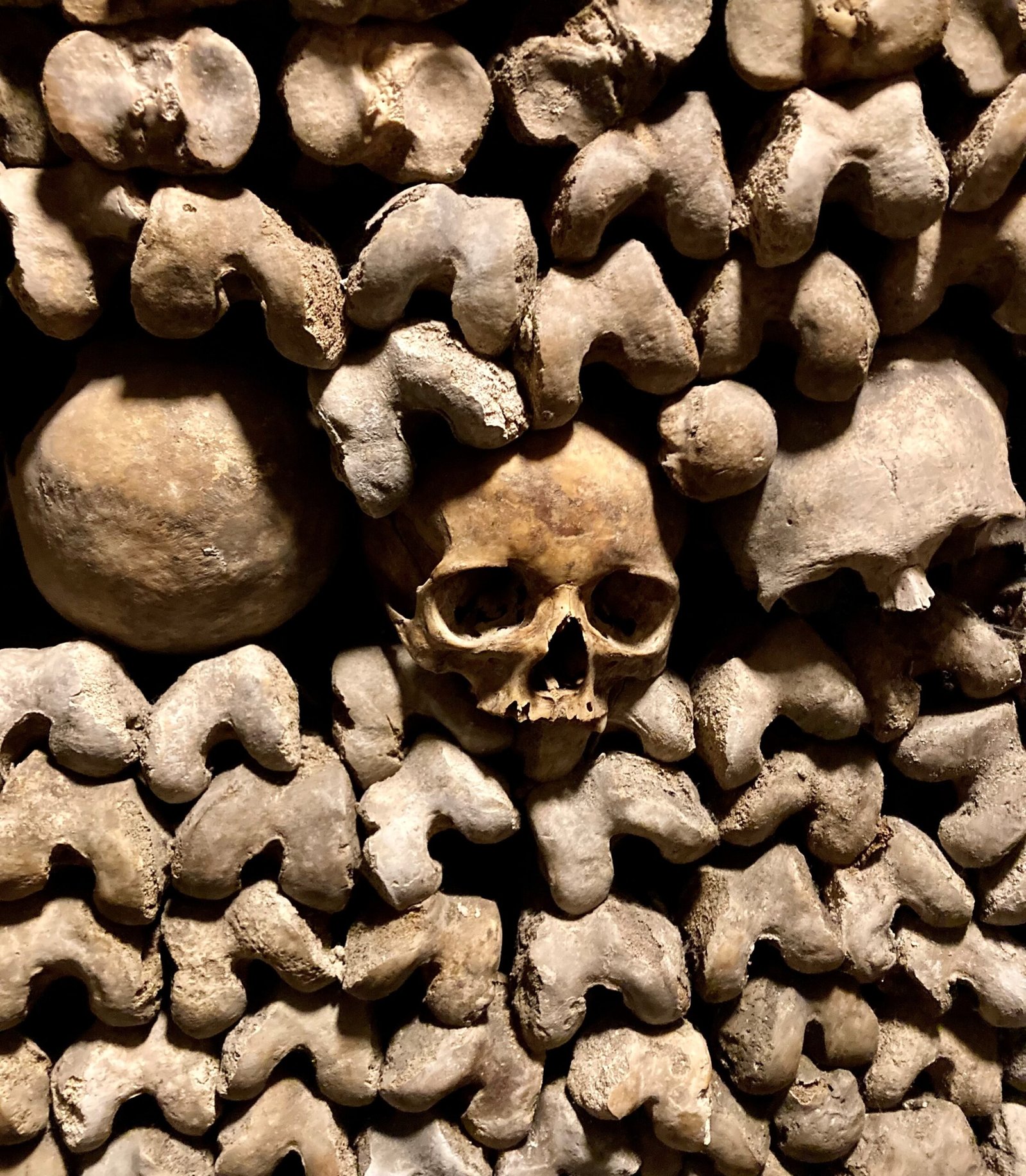 The Catacombs (Paris, France) (image credits: wikimedia)