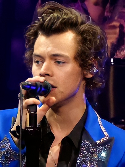 Harry Styles Captured Lightning in a Bottle (image credits: wikimedia)