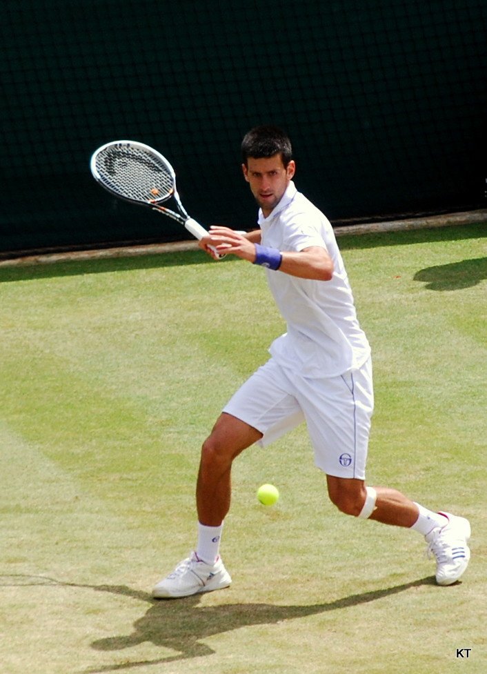 Novak Djokovic’s Wimbledon Triumph (image credits: flickr)