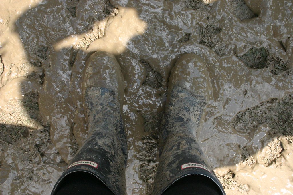 Free Milk and Fields of Mud (image credits: flickr)