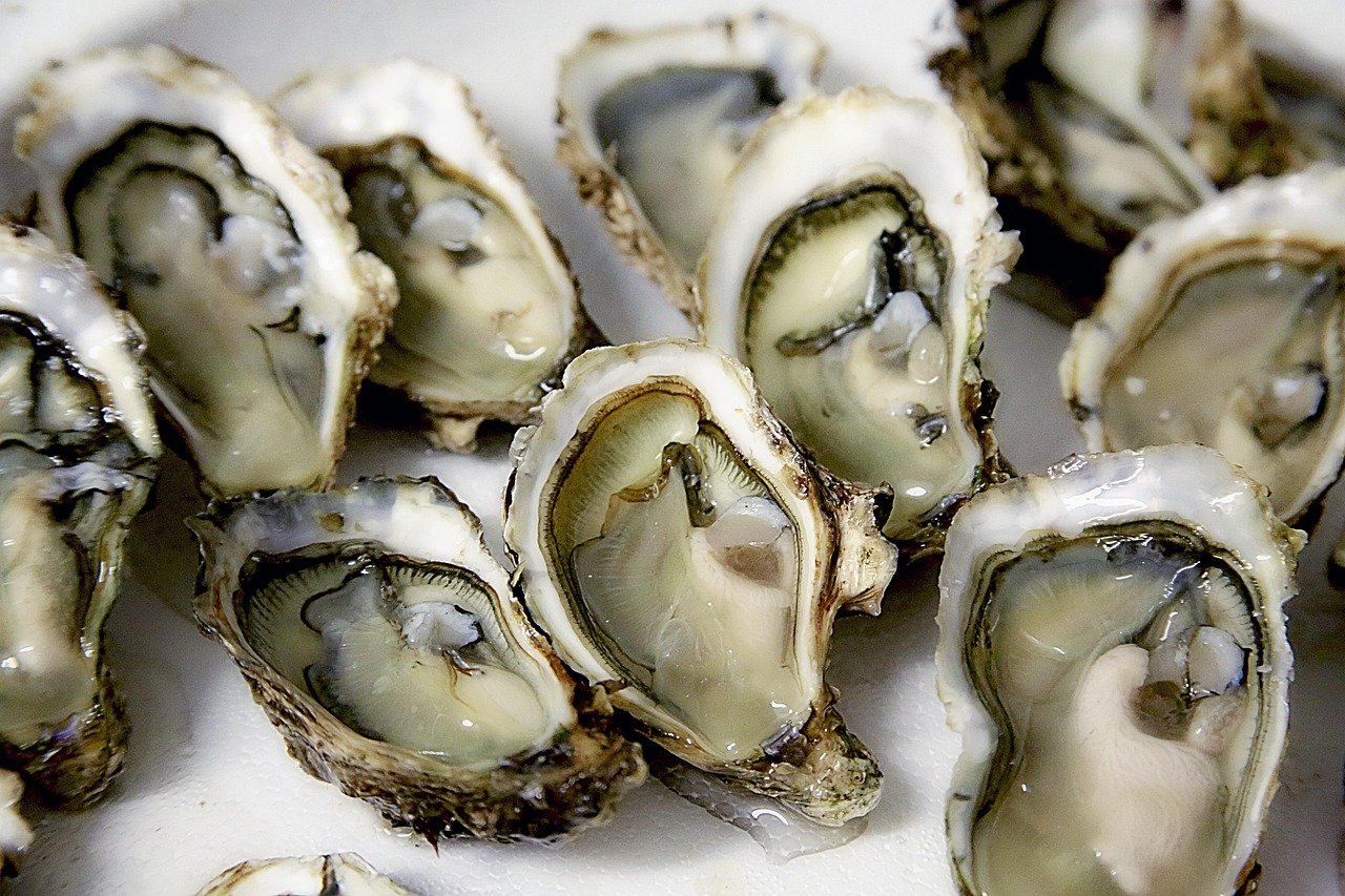 The Oyster: From Workingman's Protein to Fine Dining Essential (Image Credits: Pixabay)