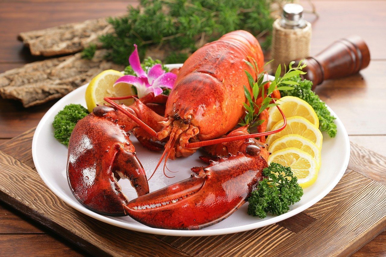 Lobster: The Prisoner's Shame That Became the Rich Man's Prize (Image Credits: Pixabay)