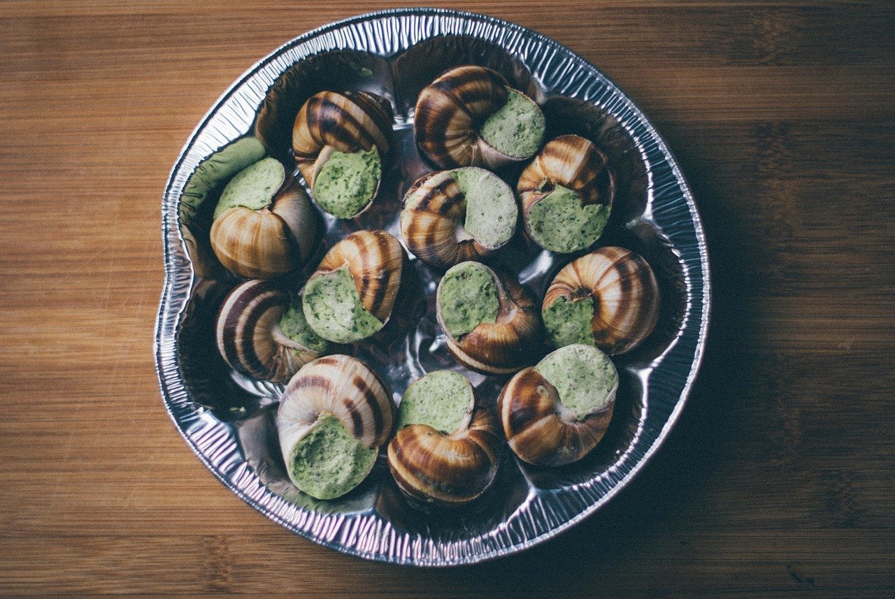 Escargot: From Peasant Foraging to Gourmet Delicacy (Image Credits: Pixabay)