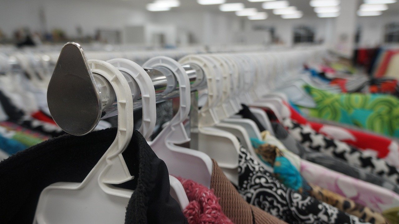 Thrift Shopping: From Necessity to Fashion Statement (Image Credits: Pixabay)