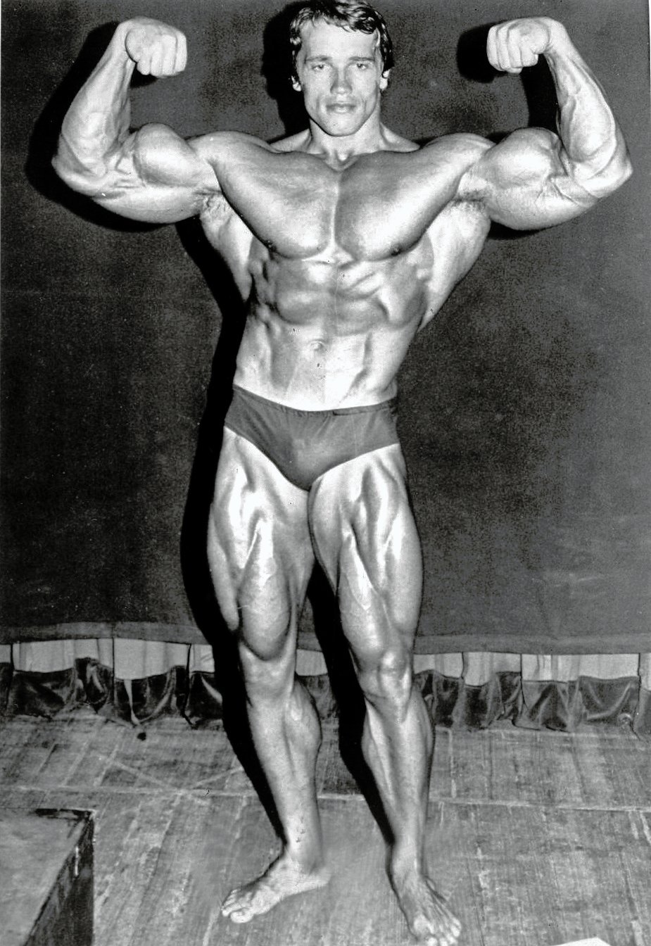 Arnold Schwarzenegger: Discipline Across Multiple Domains (Image Credits: Wikimedia)