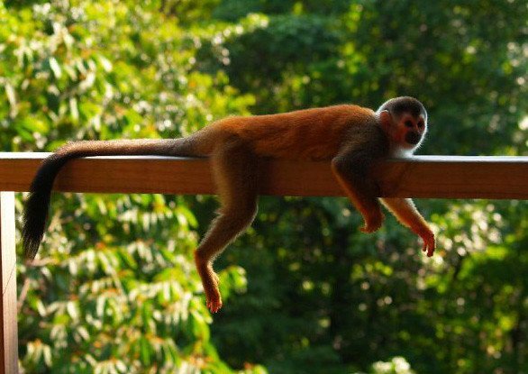 The Science Behind Why This Works (Image Credits: Flickr)