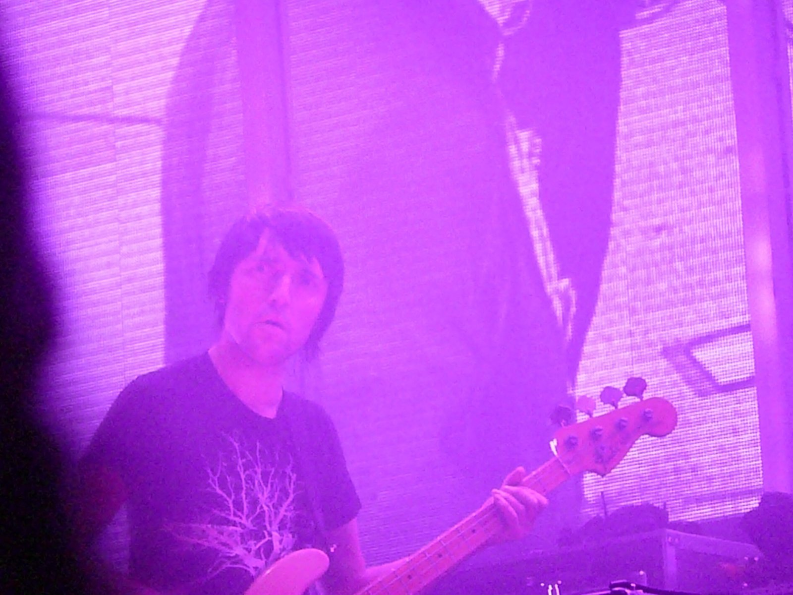 Weird Fishes/Arpeggi: Swimming in Sound (Image Credits: Wikimedia)