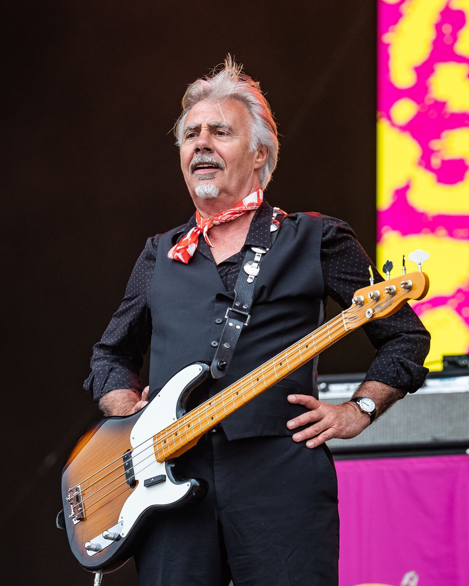 Rock Icons Defying Time (Image Credits: Wikimedia)