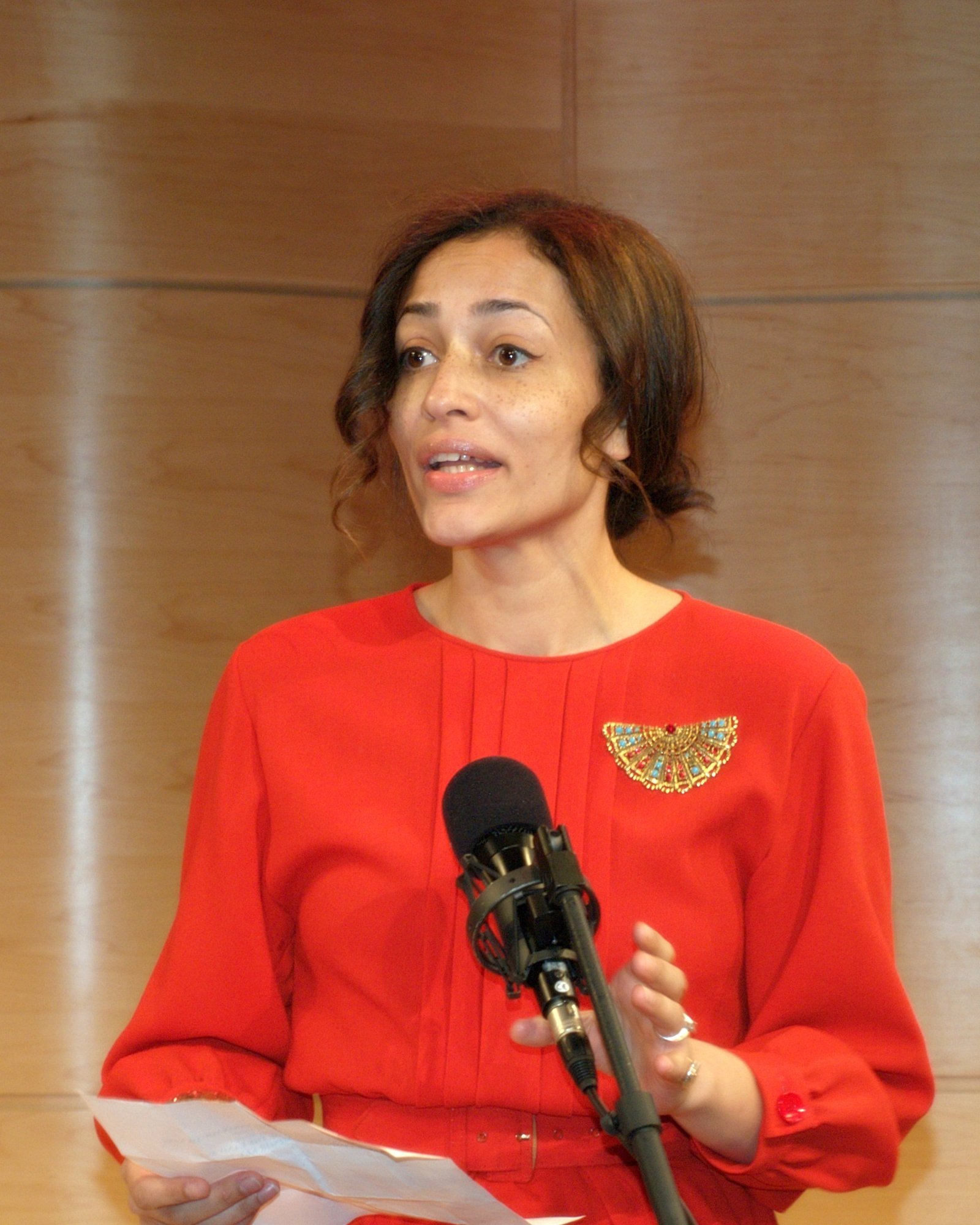 White Teeth by Zadie Smith (Image Credits: Wikimedia)