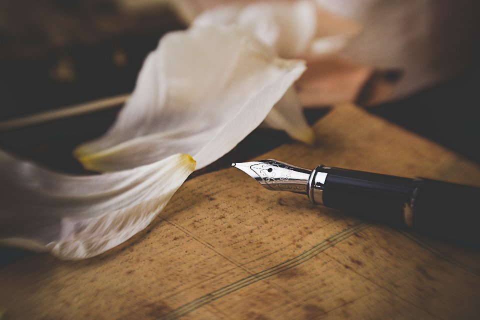 Pride and Prejudice by Jane Austen (Image Credits: Stocksnap)