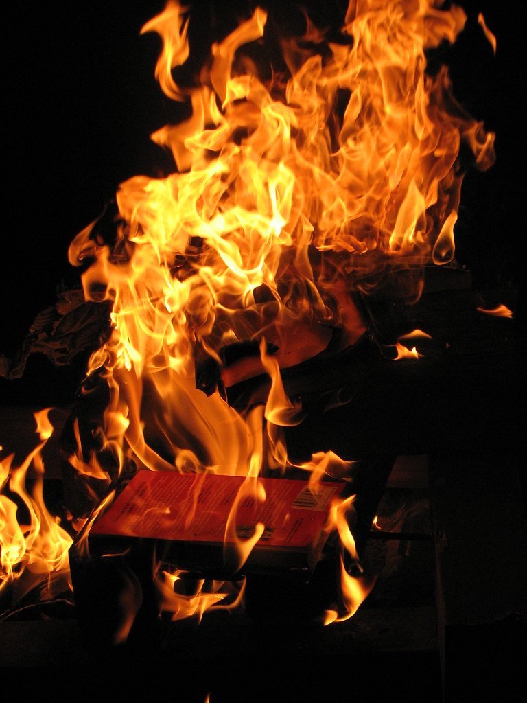 Fahrenheit 451 by Ray Bradbury (Image Credits: Flickr)