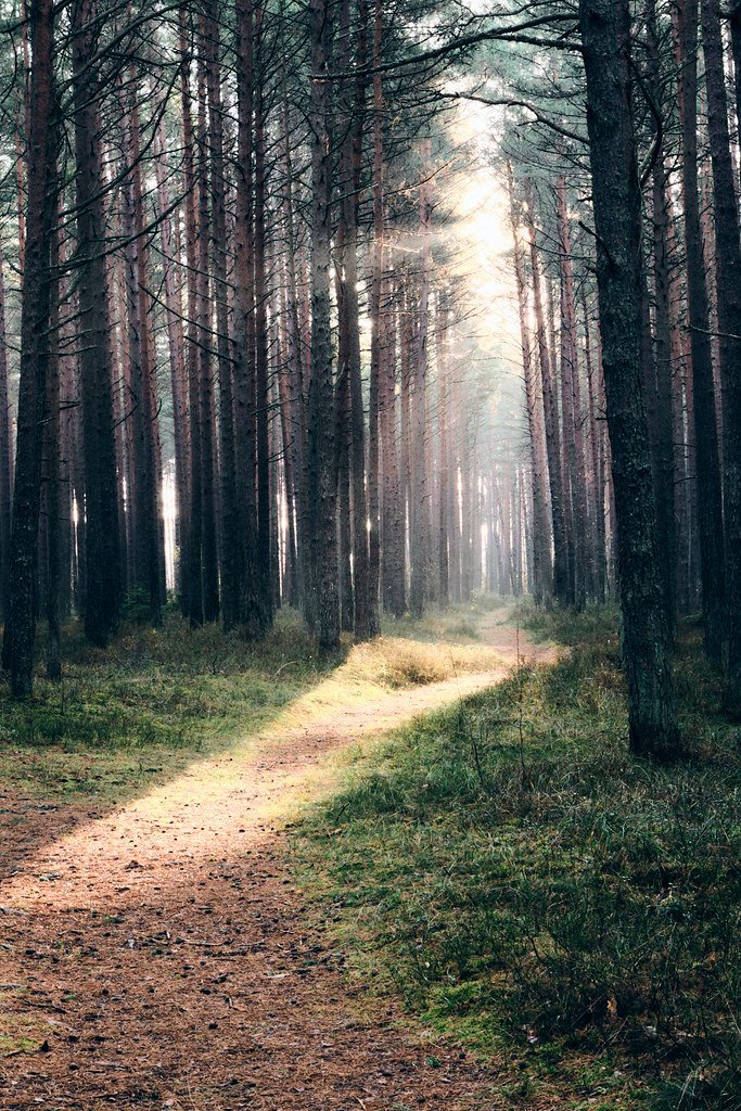 Paula Jean Welden and the Bennington Triangle (Image Credits: Flickr)