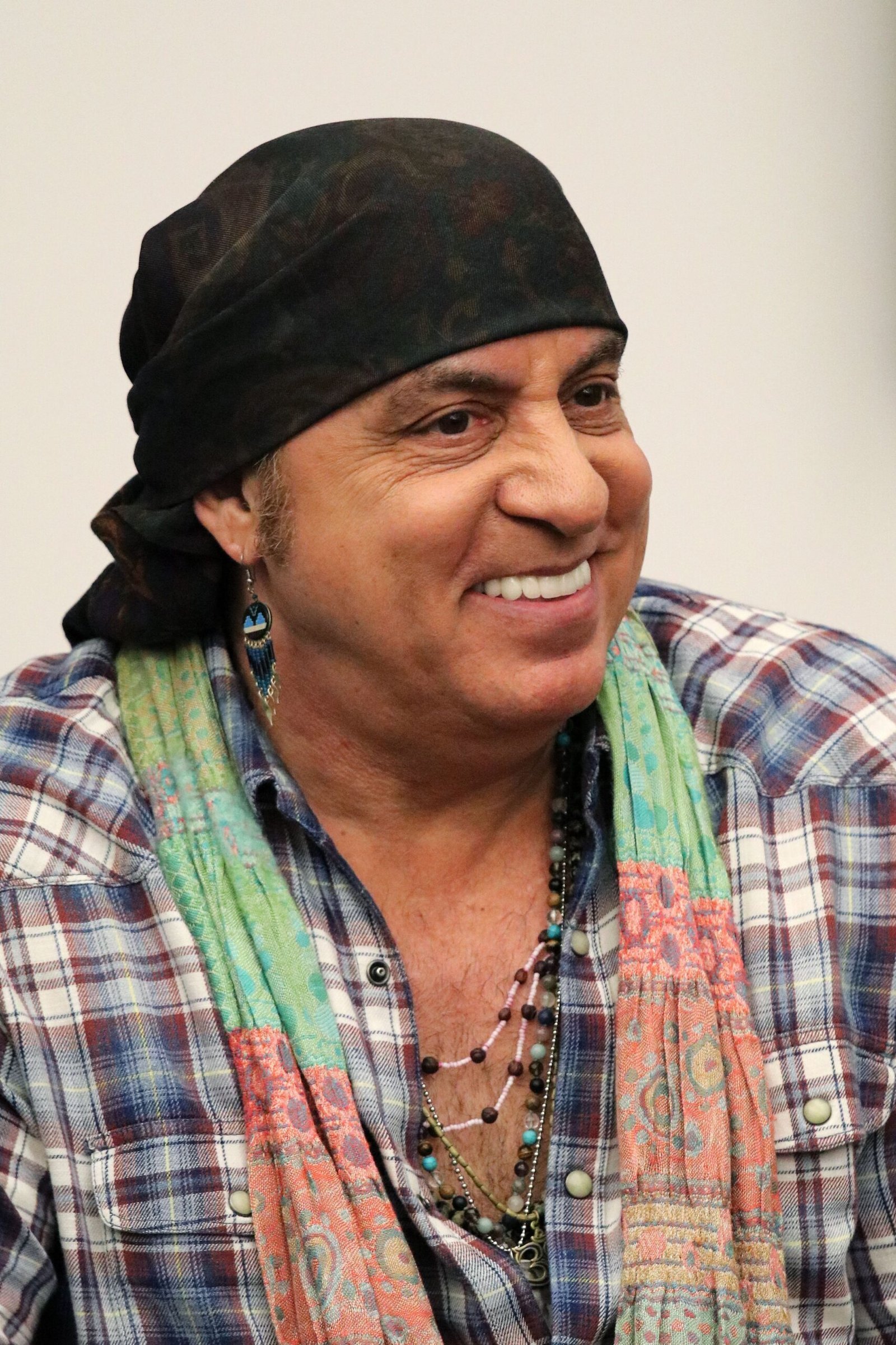 Stevie Van Zandt: Disciple (Image Credits: Wikimedia)