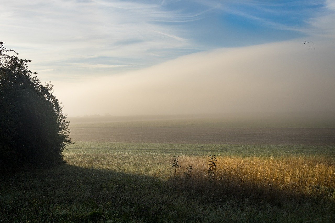 A Final Reflection (Image Credits: Pixabay)