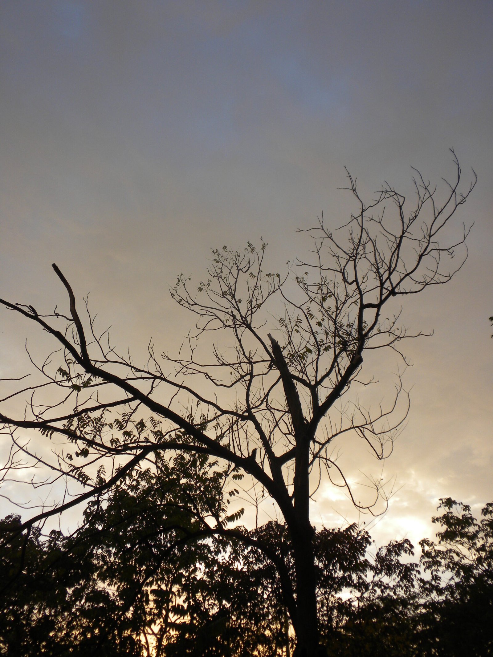 Monowi, Nebraska Has a Population of Exactly One Person (Image Credits: Wikimedia)