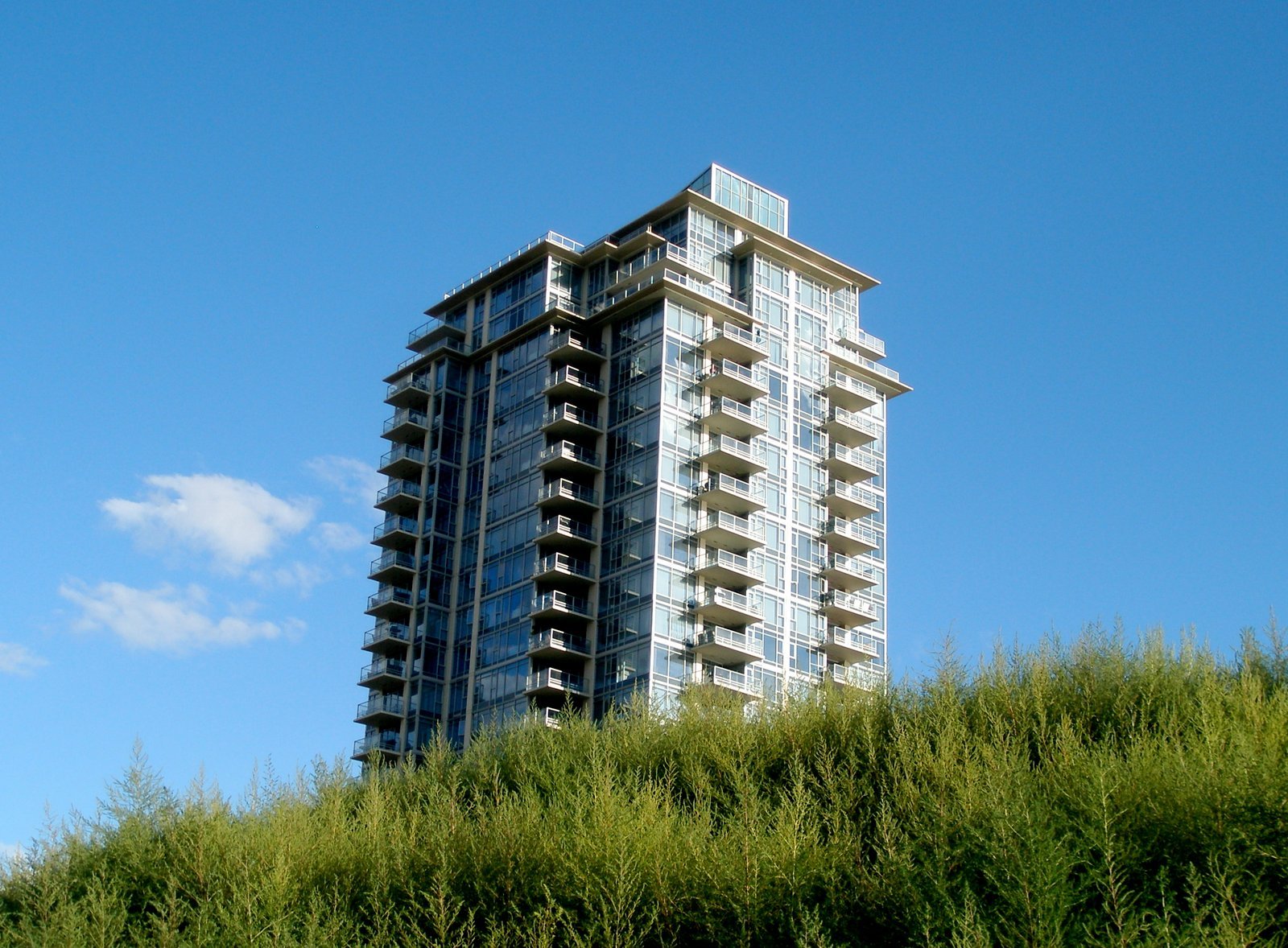 Condos Face Regulatory Nightmare (Image Credits: Wikimedia)