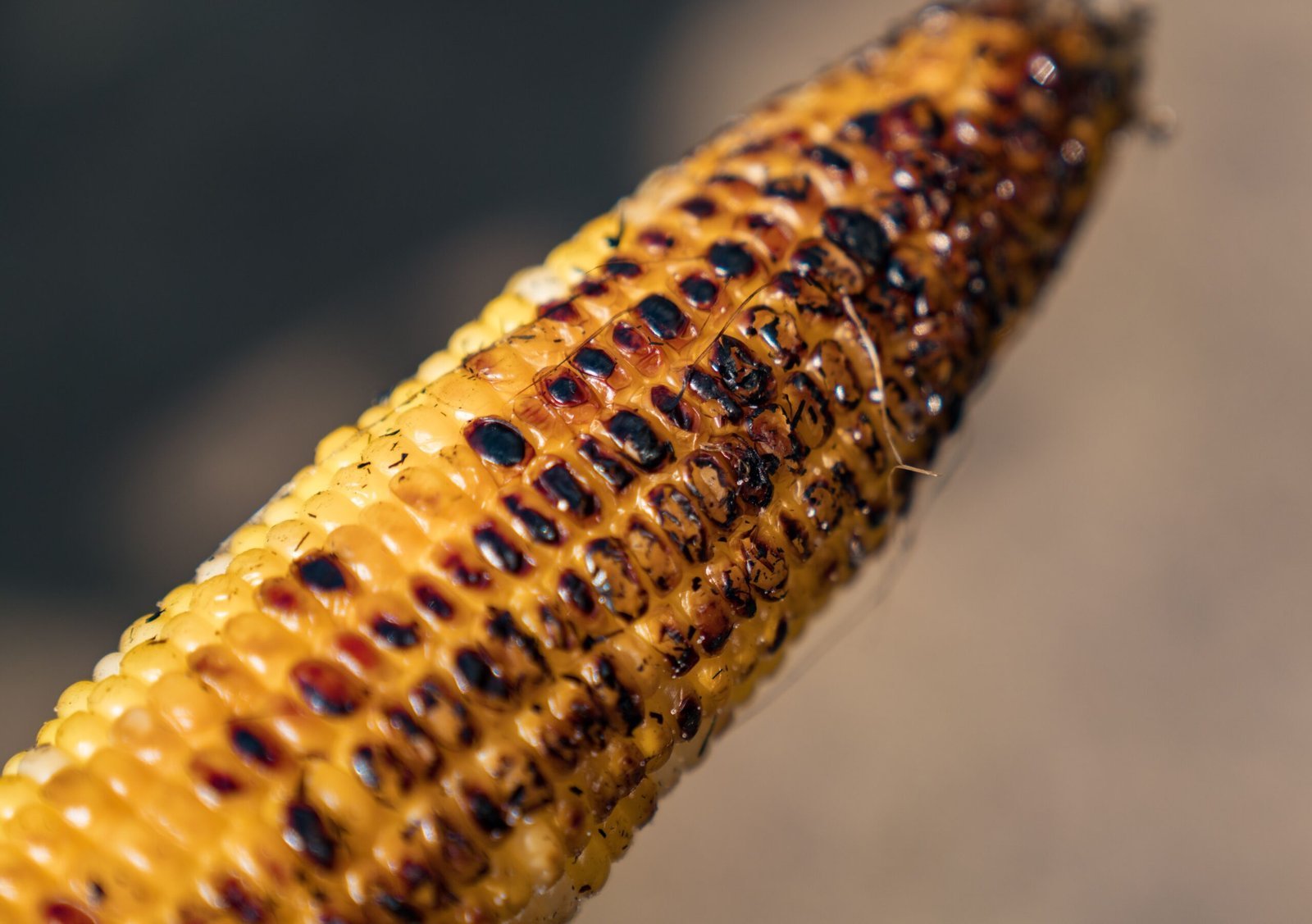 Food That Defines the Season (Image Credits: Wikimedia)