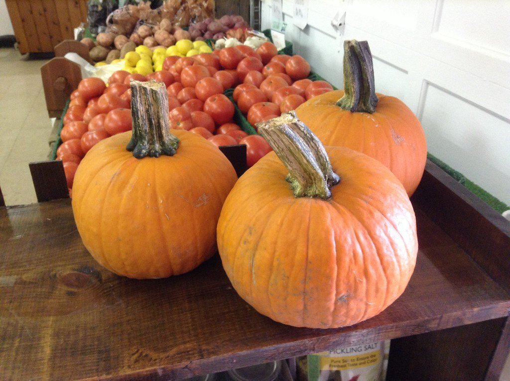 The Fall Festival Experience Across Virginia (Image Credits: Flickr)