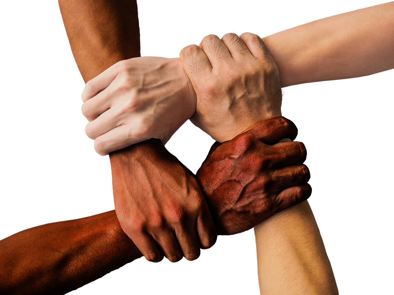Changing Demographics and Community Character (Image Credits: Pixabay)