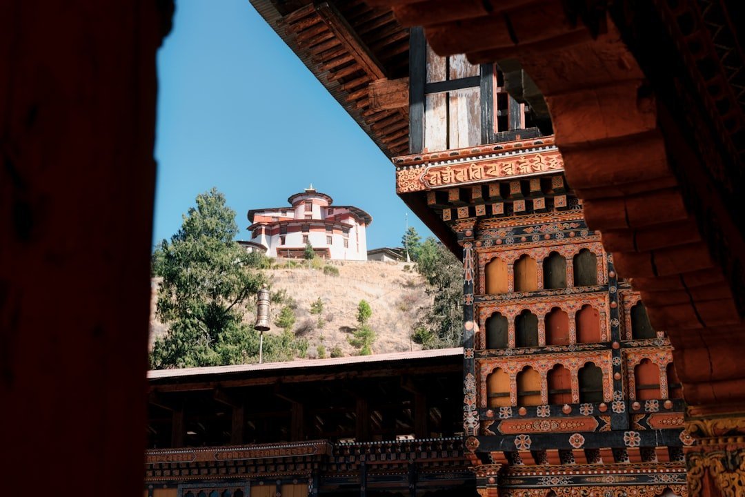 Introduction (Image Credits: Unsplash)