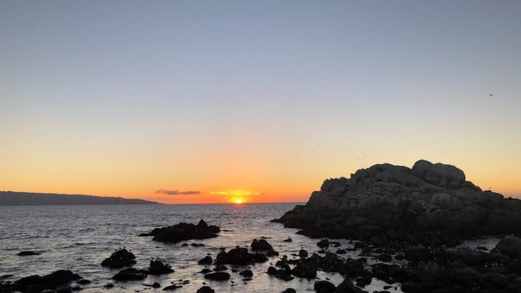 Marc Anthony Ignites Viña del Mar 2019 with Soul-Stirring Y Hubo Alguien