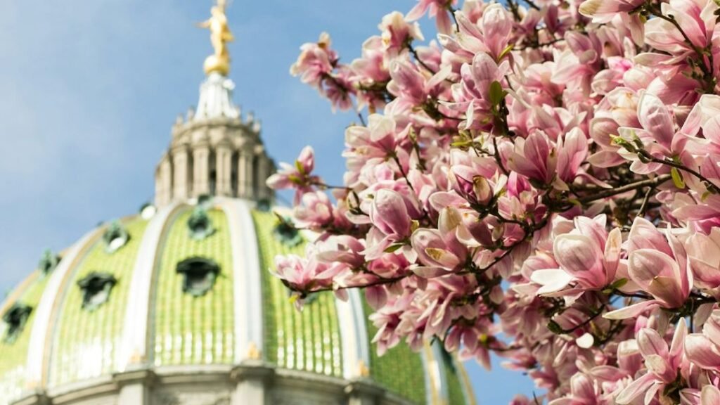 Pennsylvania's Storied Past: From Ancient Lenape Lands to Shale Gas Frontiers