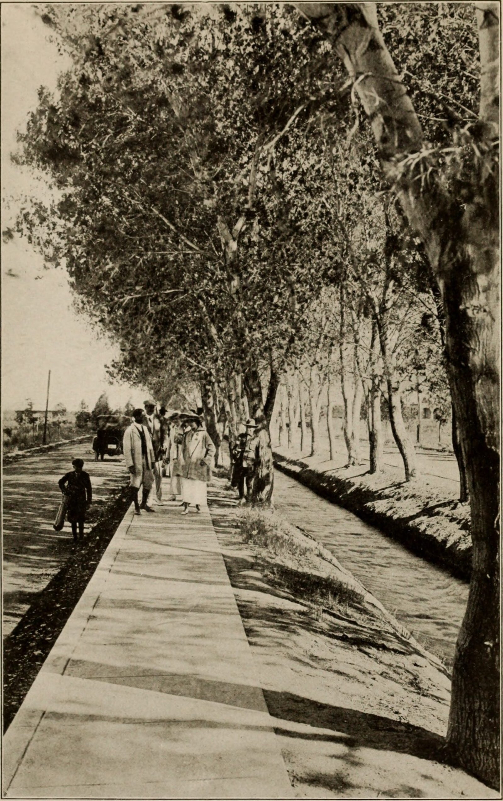 Arizona's Indigenous People Engineered Systems That Still Influence Us Today (Image Credits: Wikimedia)