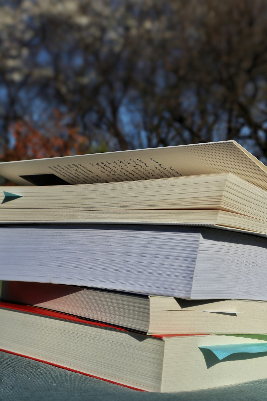 Introduction (Image Credits: Unsplash)