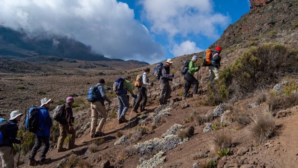 Climber's Transformative 2025 Kilimanjaro Quest on Lemosho Route Redefines Summit Glory