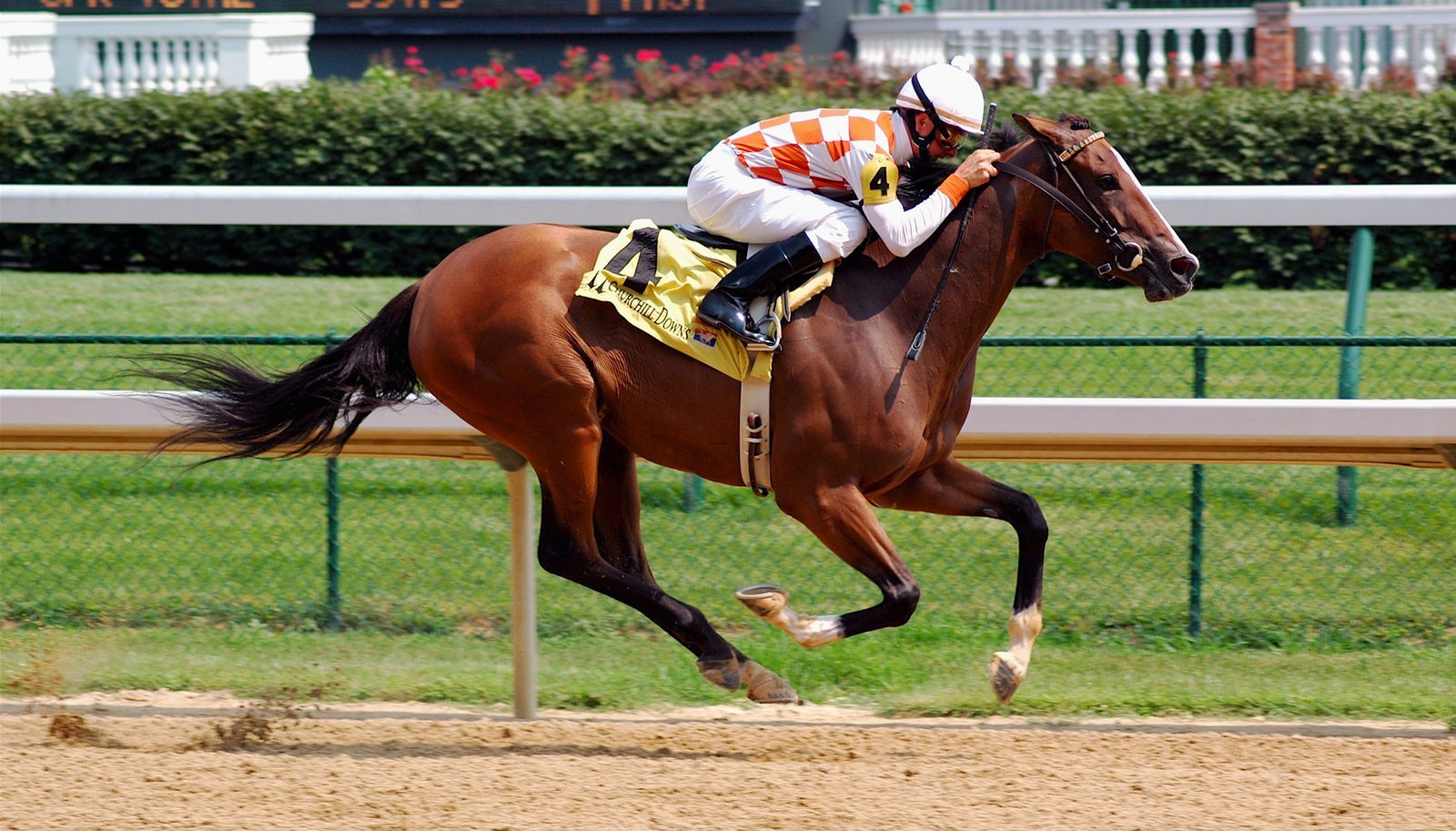 Where the Greatest Two Minutes in Sports Became a National Obsession (Image Credits: Wikimedia)