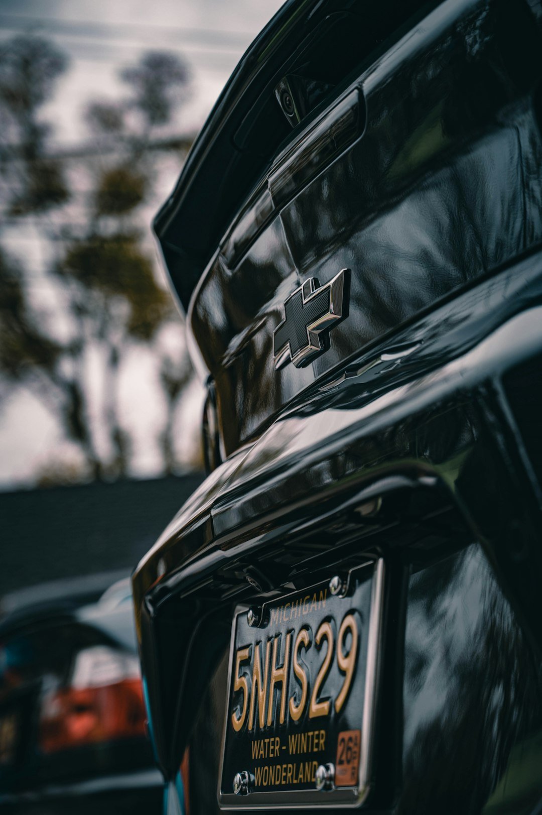 The Legacy Continues (Image Credits: Unsplash)